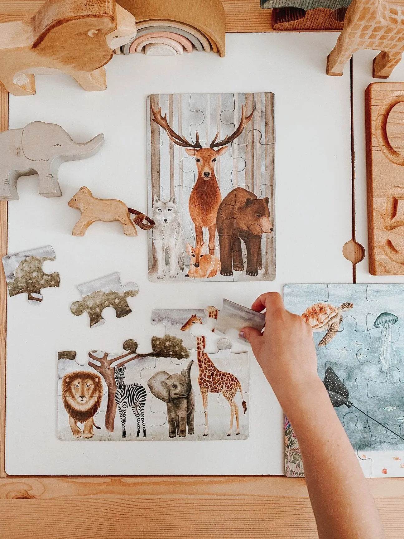 The Majestic Wild Puzzle Collection