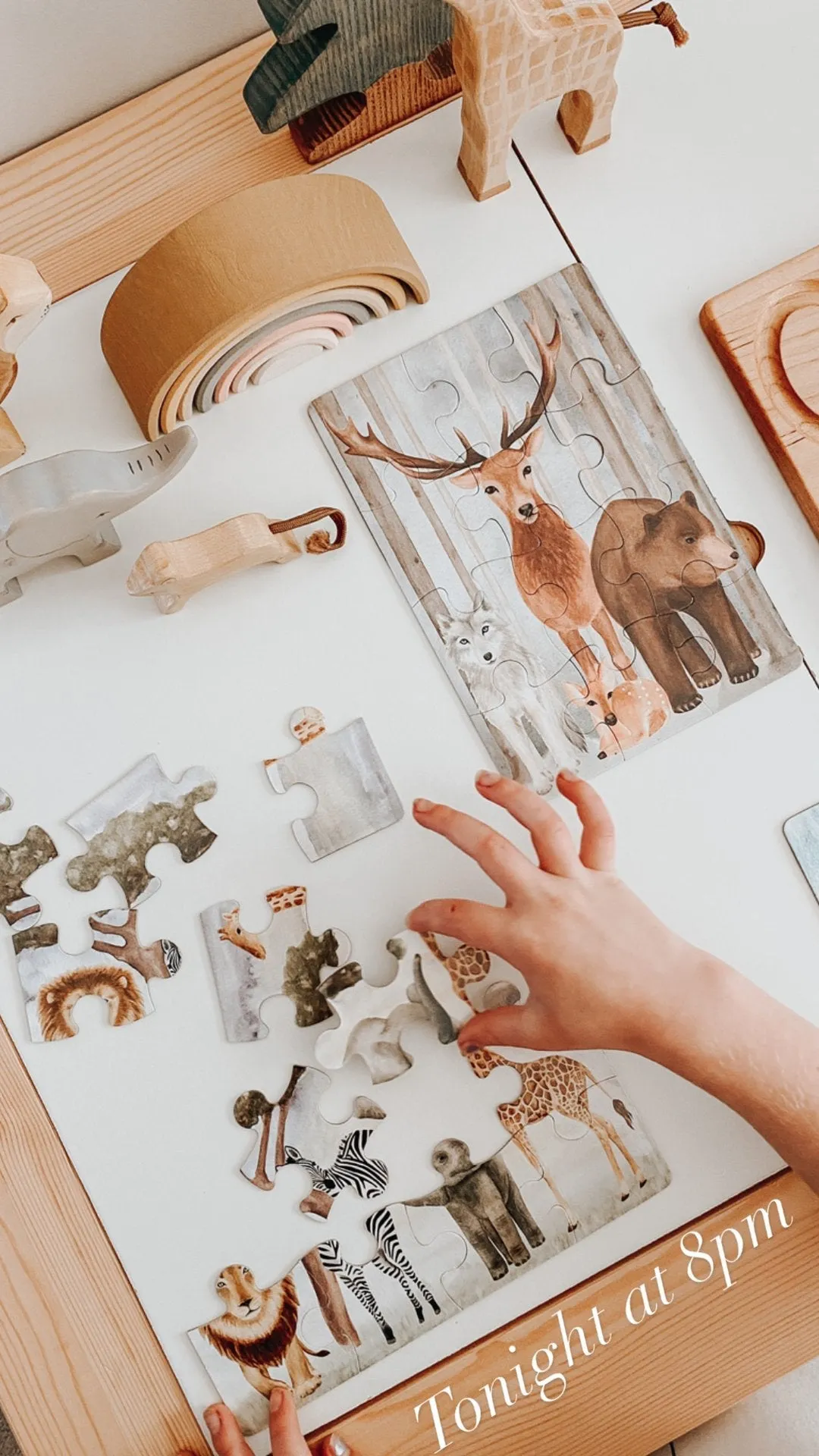 The Majestic Wild Puzzle Collection