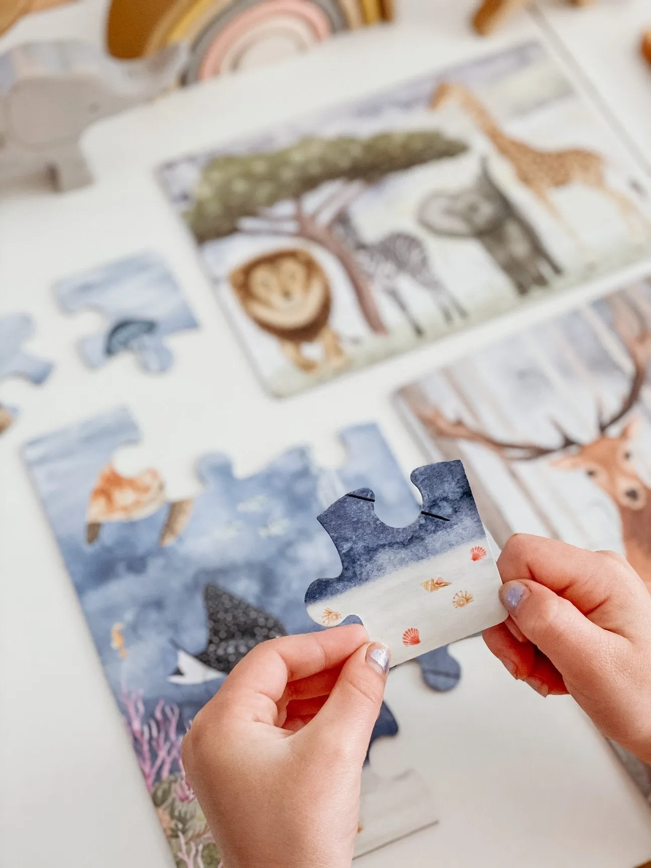 The Majestic Wild Puzzle Collection